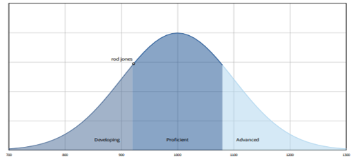 A bell curve graph showing the standard distribution of Reaszon results.